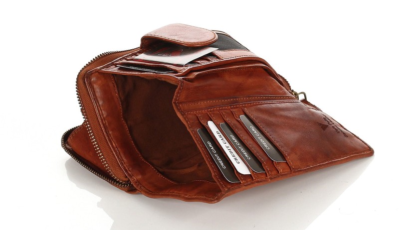 Cudowny skórzany portfel damski | Indyjska skóra | Brązowy Rozbudowany